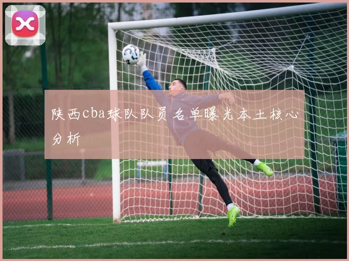 陕西cba球队队员名单曝光本土核心分析