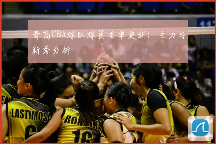青岛CBA球队球员名单更新：主力与新秀分析
