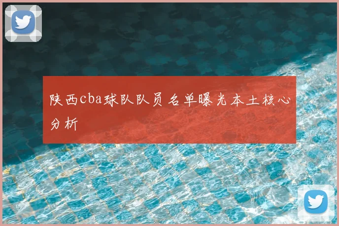 陕西cba球队队员名单曝光本土核心分析