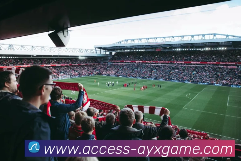 爱游戏服务体系